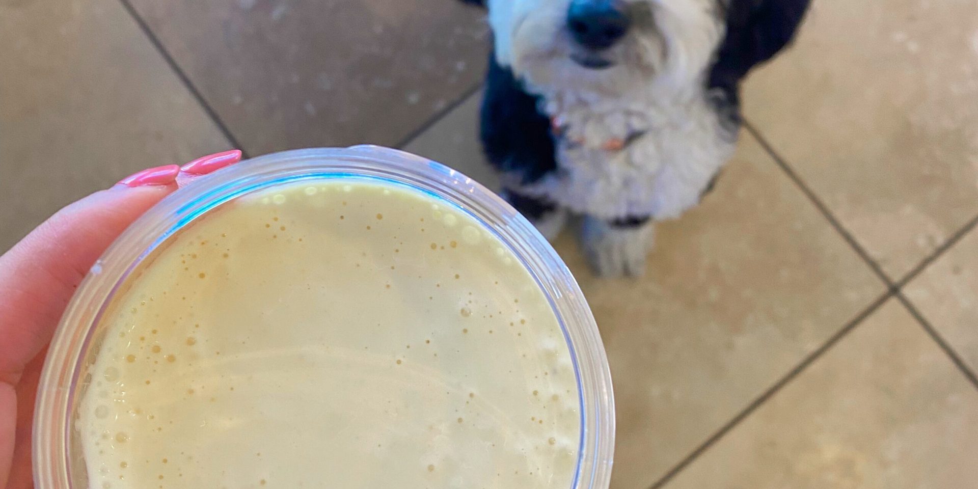 how-to-make-homemade-mayonnaise-(recipe-and-video) how-to-make-homemade-mayonnaise-(recipe-and-video)