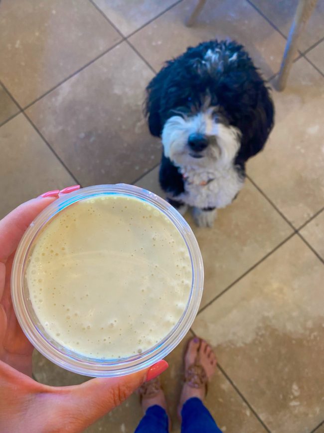 how-to-make-homemade-mayonnaise-(recipe-and-video)