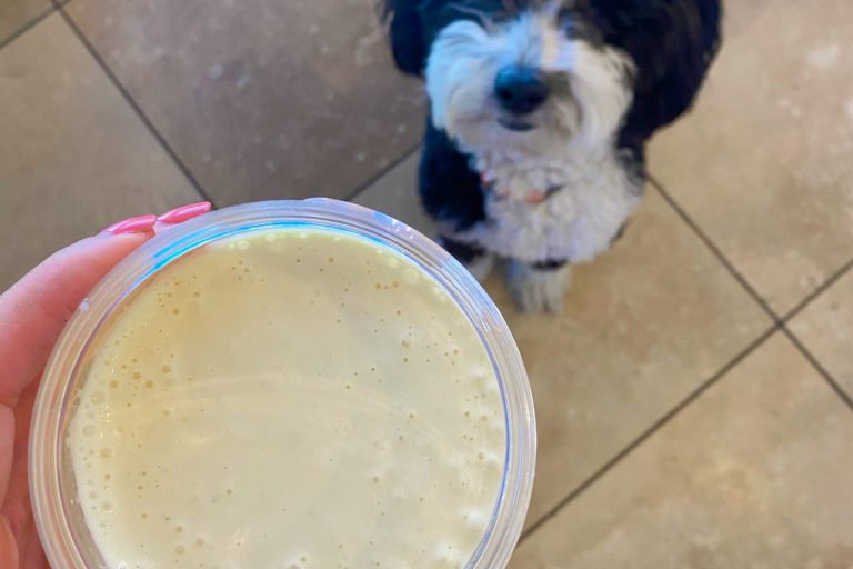 how-to-make-homemade-mayonnaise-(recipe-and-video)