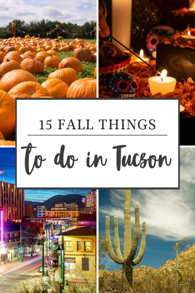 fall-things-to-do-in-tucson fall-things-to-do-in-tucson