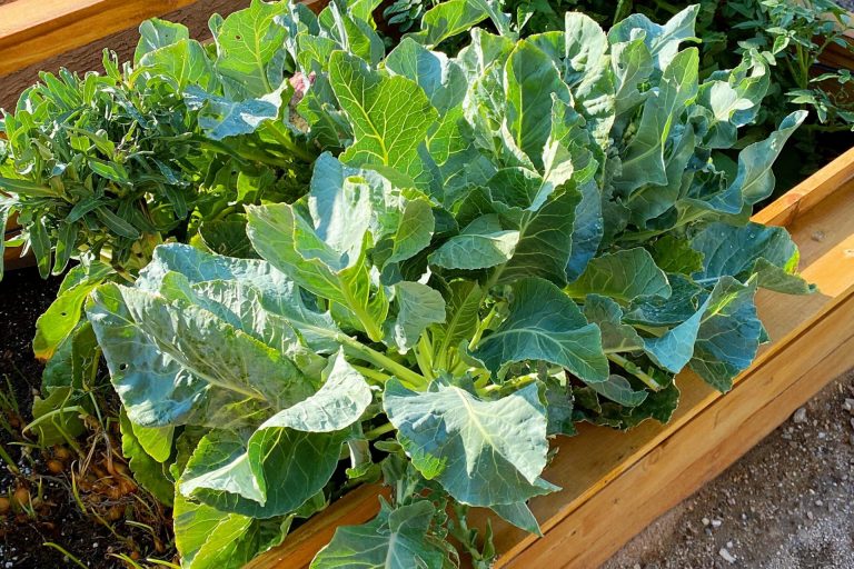 random-thoughts-for-a-monday-morning