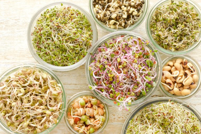 how-to-make-sprouts-at-home