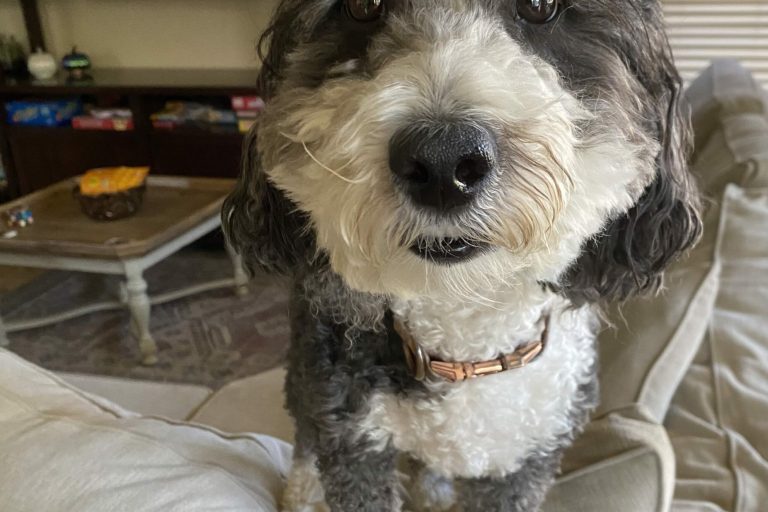 9.7-friday-faves-(and-a-giveaway)